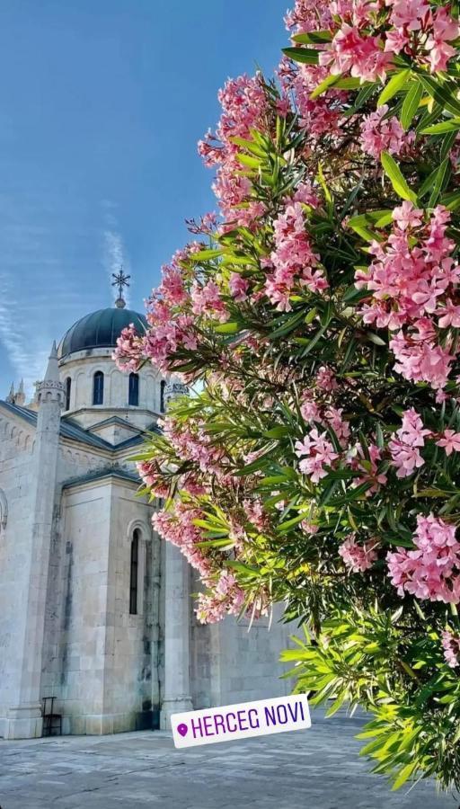 Apartment Agata Herceg Novi Zewnętrze zdjęcie